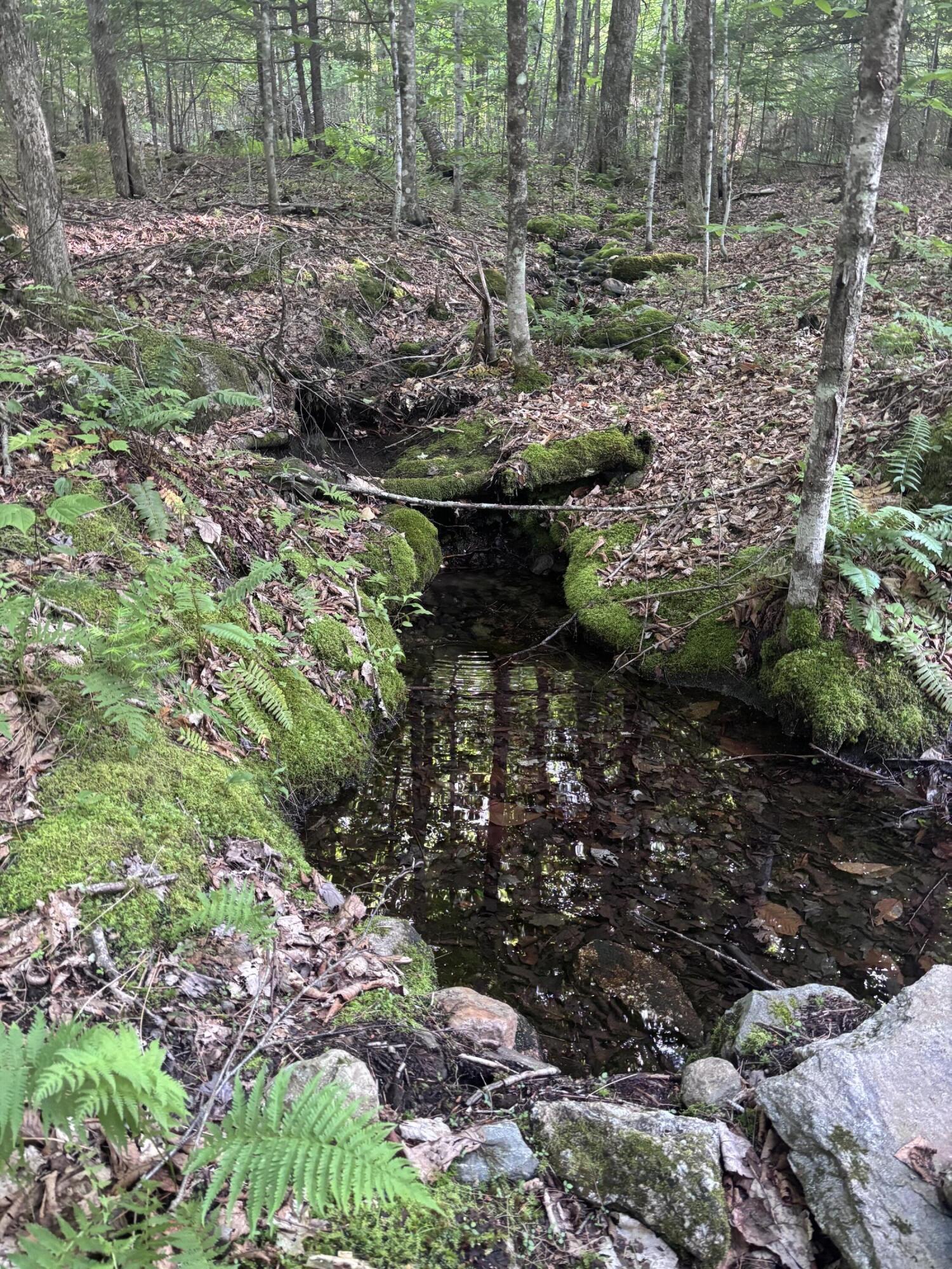 Lot #22 Streaked Mountain Road Buckfield, ME 04220 - Photo 5 of 14 image5