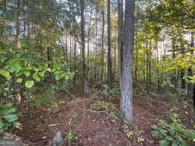 3 Corinth-Five Points Road Buchanan, GA 30113 - Photo 1 of 1