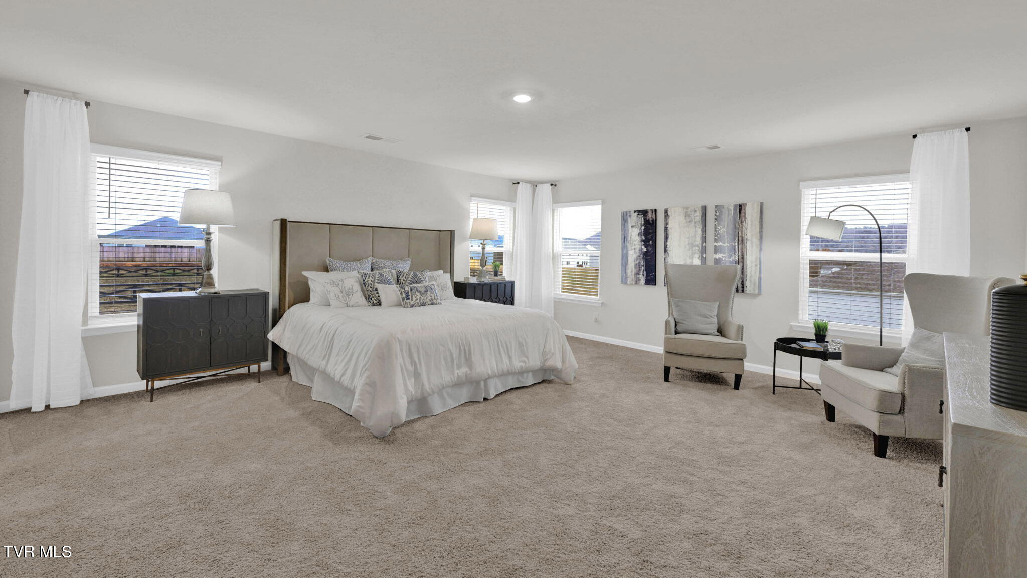 559 Fieldcrest Road Blountville, TN 37617 - Photo 32 of 45 36-web-or-mls-_DSC4916