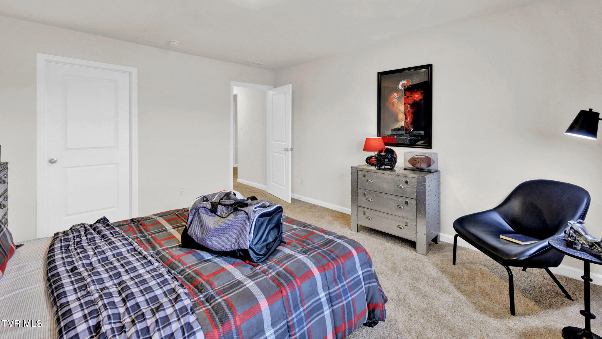 559 Fieldcrest Road Blountville, TN 37617 - Photo 42 of 46 46-web-or-mls-_DSC4946