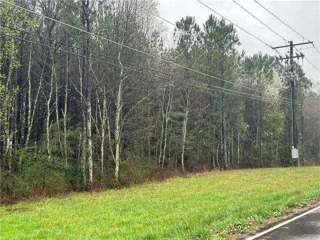 a view of a yard with potted plants and large trees