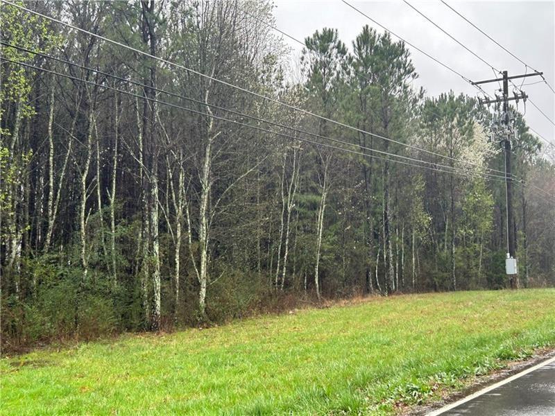337 Mac Johnson Road Northwest Cartersville, GA 30121 - Photo 2 of 5 a view of a yard with potted plants and large trees