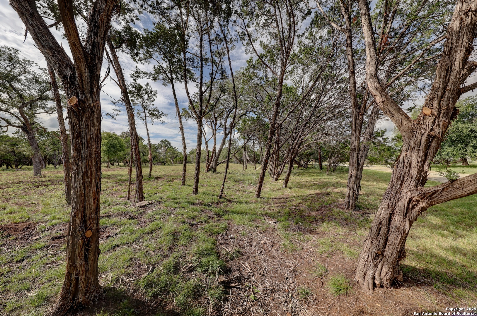 Lot 4 Heinen Bandera, TX 78003 - Photo 4 of 23 a view of a trees with a yard