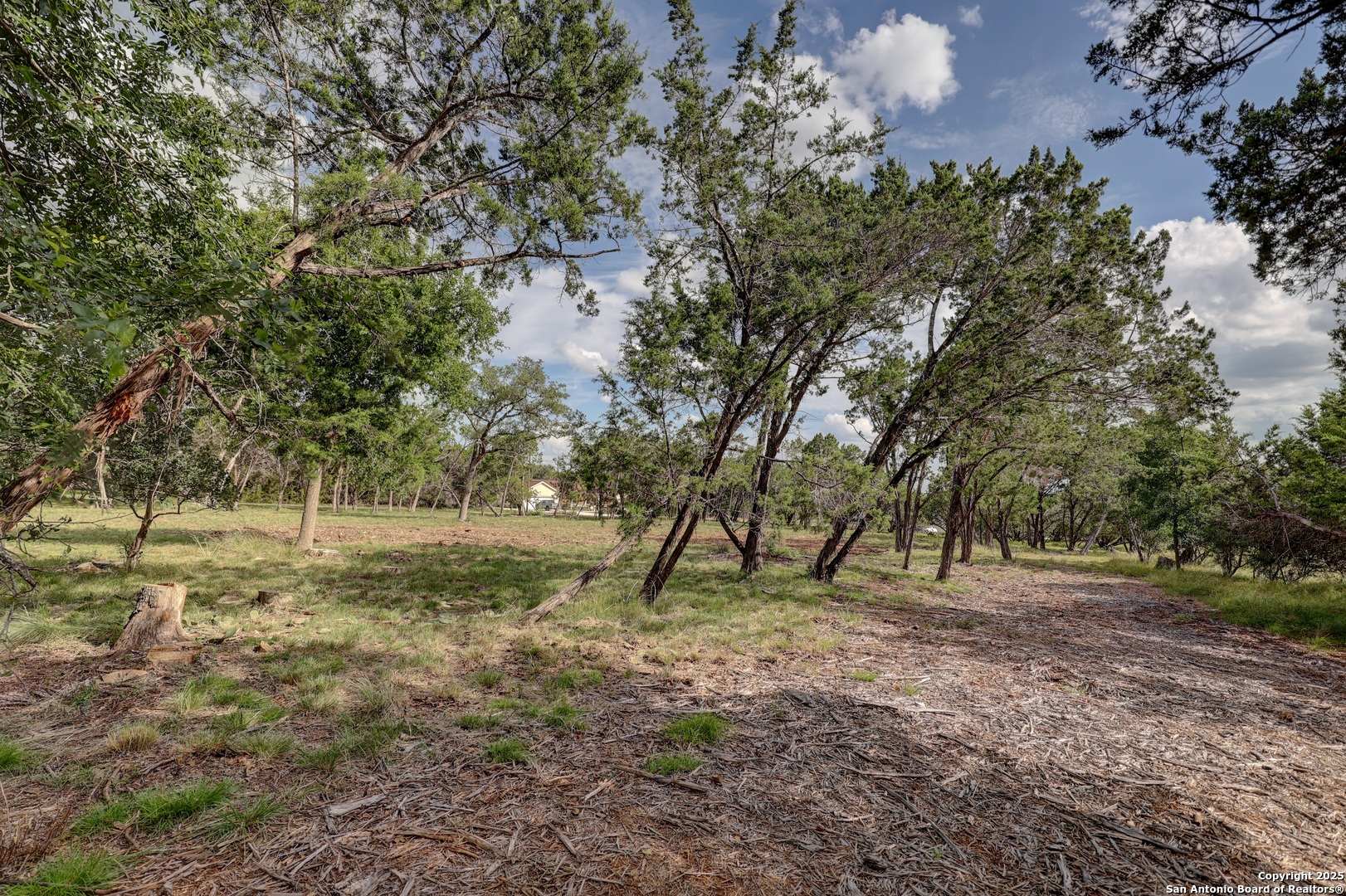 Lot 4 Heinen Bandera, TX 78003 - Photo 5 of 23 a view of outdoor space with trees