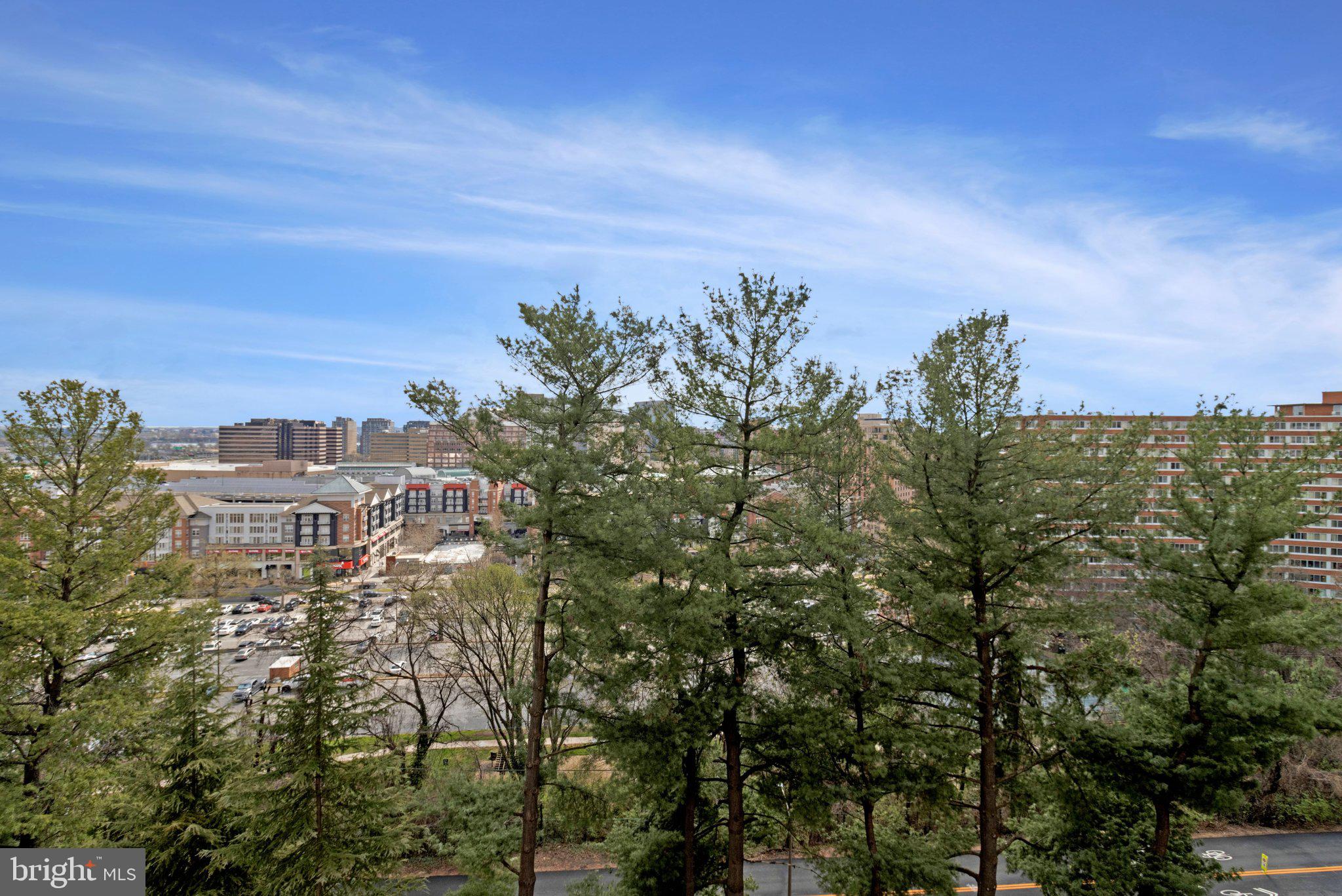 1101 South Arlington Ridge Road, Unit 706 Arlington, VA 22202 - Photo 47 of 59 a view of a city