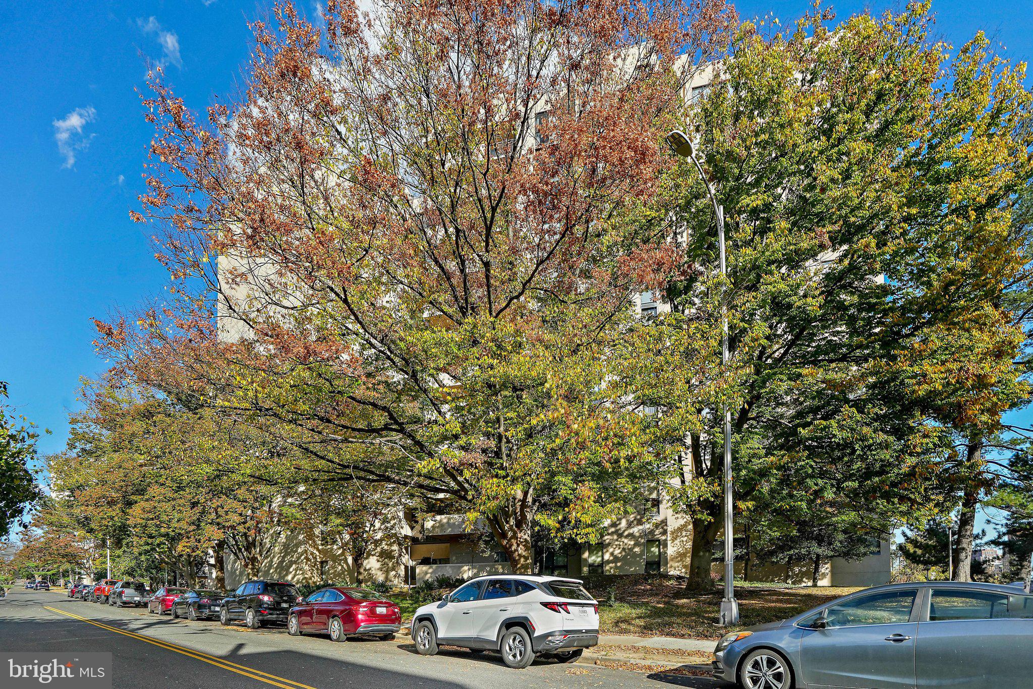 1101 South Arlington Ridge Road, Unit 706 Arlington, VA 22202 - Photo 58 of 59 a car parked on the side of a street