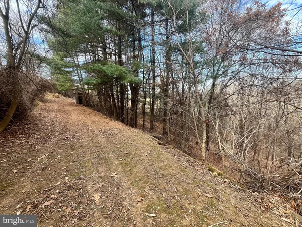 a view of a backyard of the house