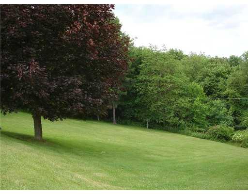 65 Meneely Road Burgettstown, PA 15021 - Photo 9 of 12 Yard/Garden.