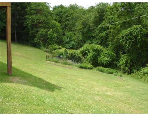 65 Meneely Road Burgettstown, PA 15021 - Photo 10 of 12 Yard/Garden.