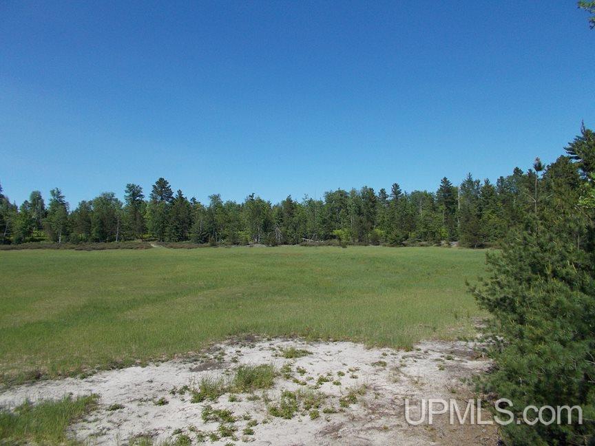 Tbd 155 Acres Off Reservoir Dam Road Seney, MI 49883 - Photo 4 of 23