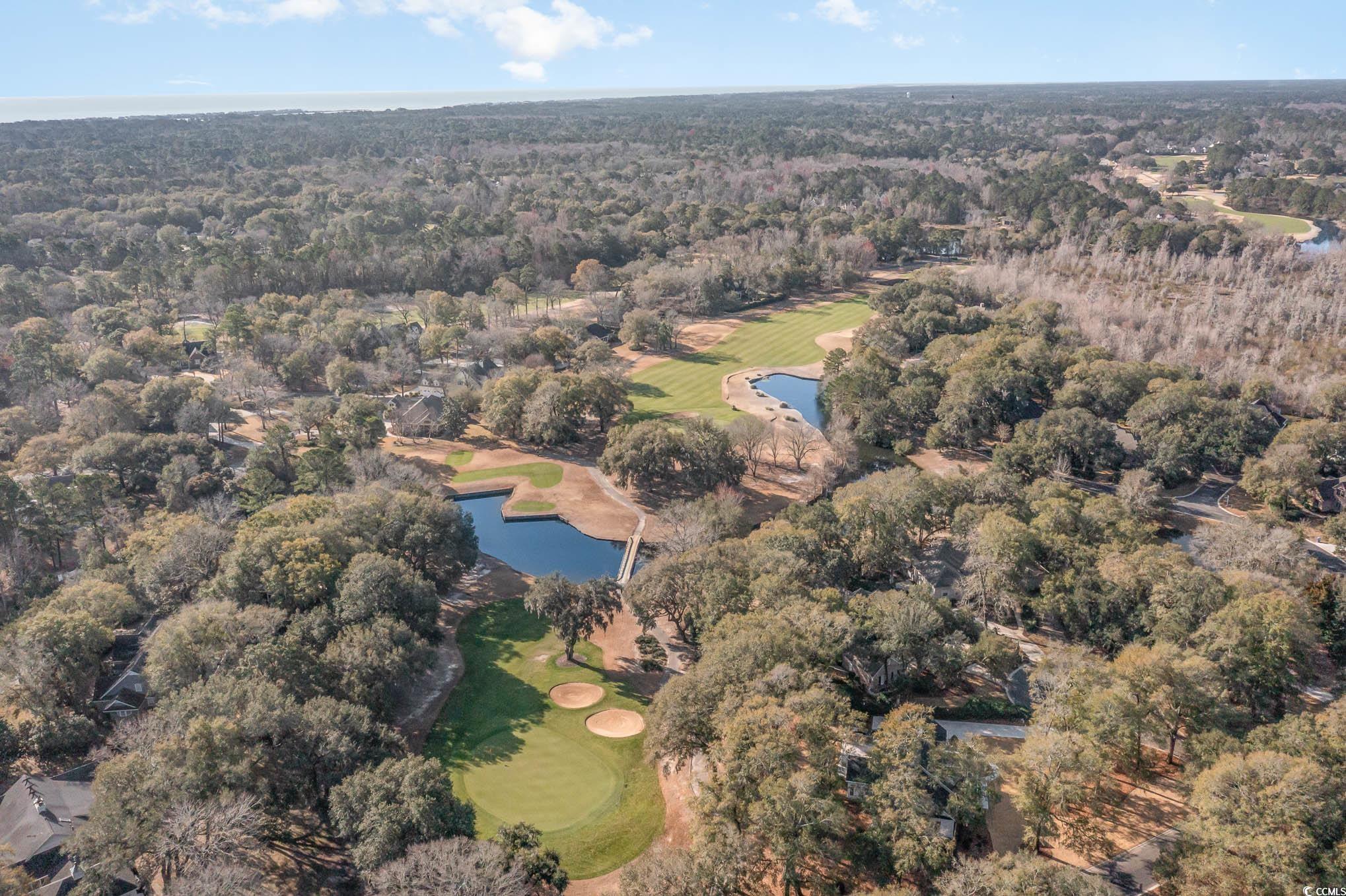 423 Chapman Loop Pawleys Island, SC 29585 - Photo 37 of 38
