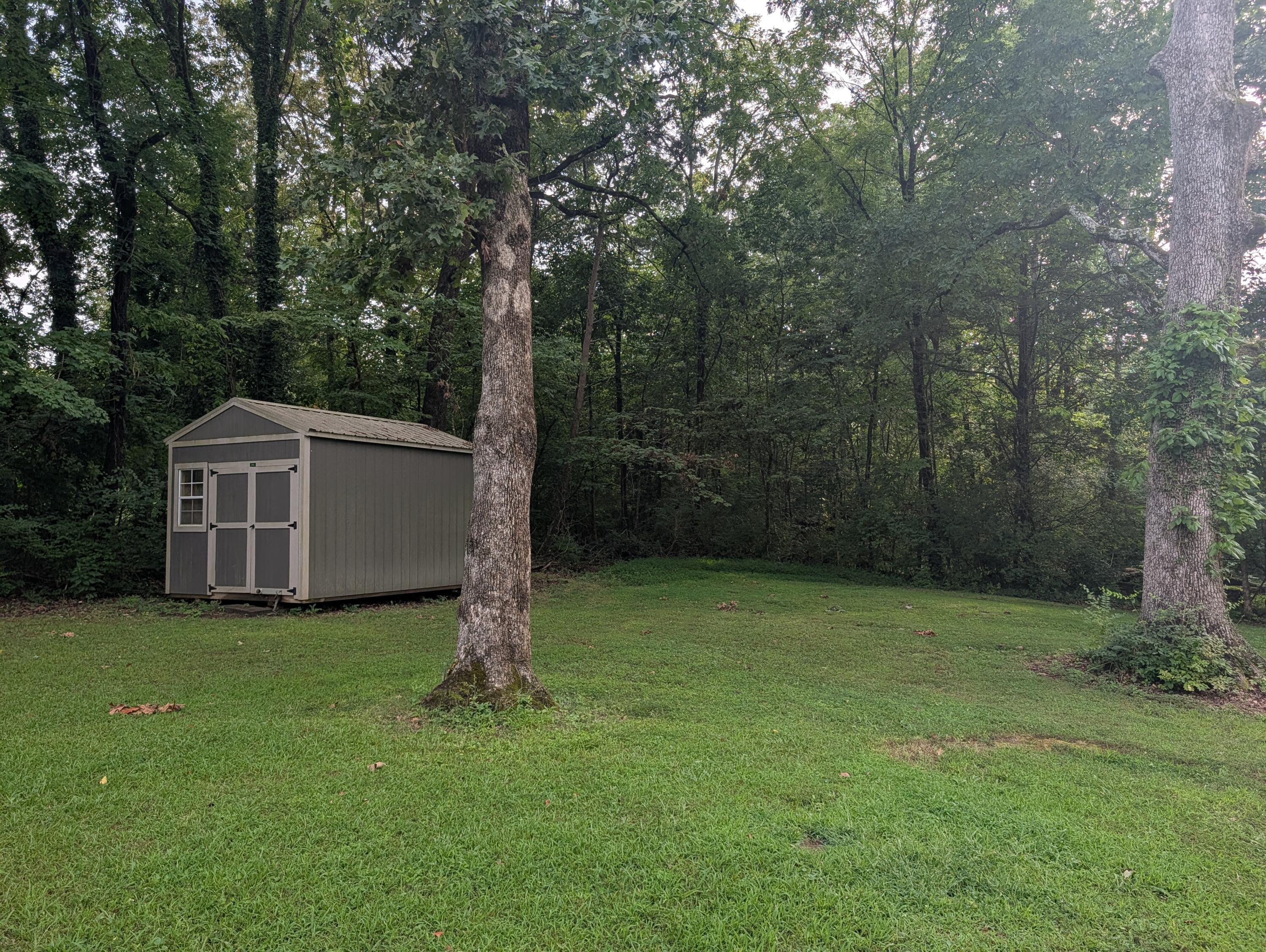 341 Vermont Avenue Oak Ridge, TN 37830 - Photo 70 of 79 PXL_20260814_225010940.RAW-01