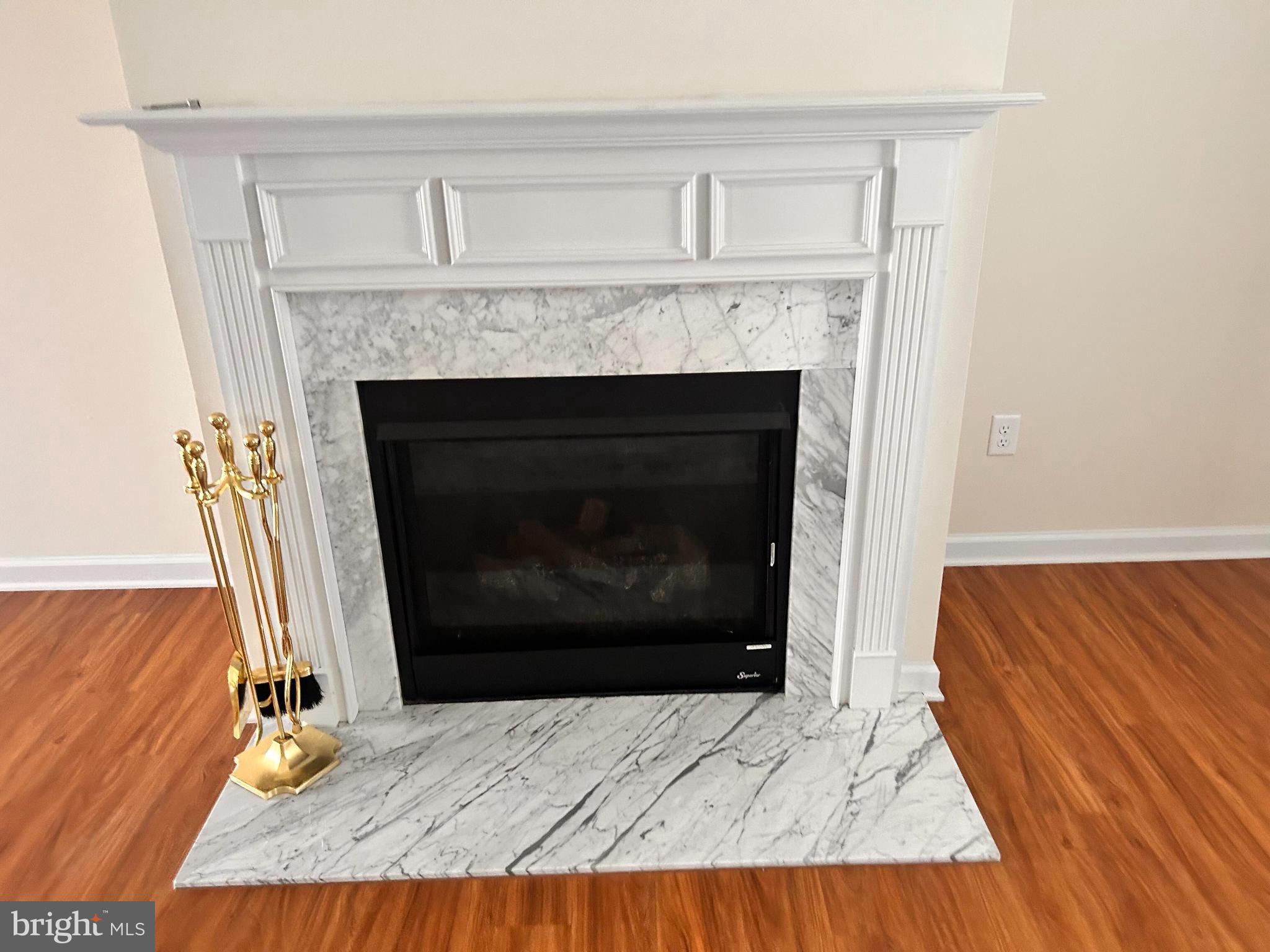 52 Harness Race Road Martinsburg, WV 25404 - Photo 5 of 16 a living room with a fireplace and a rug
