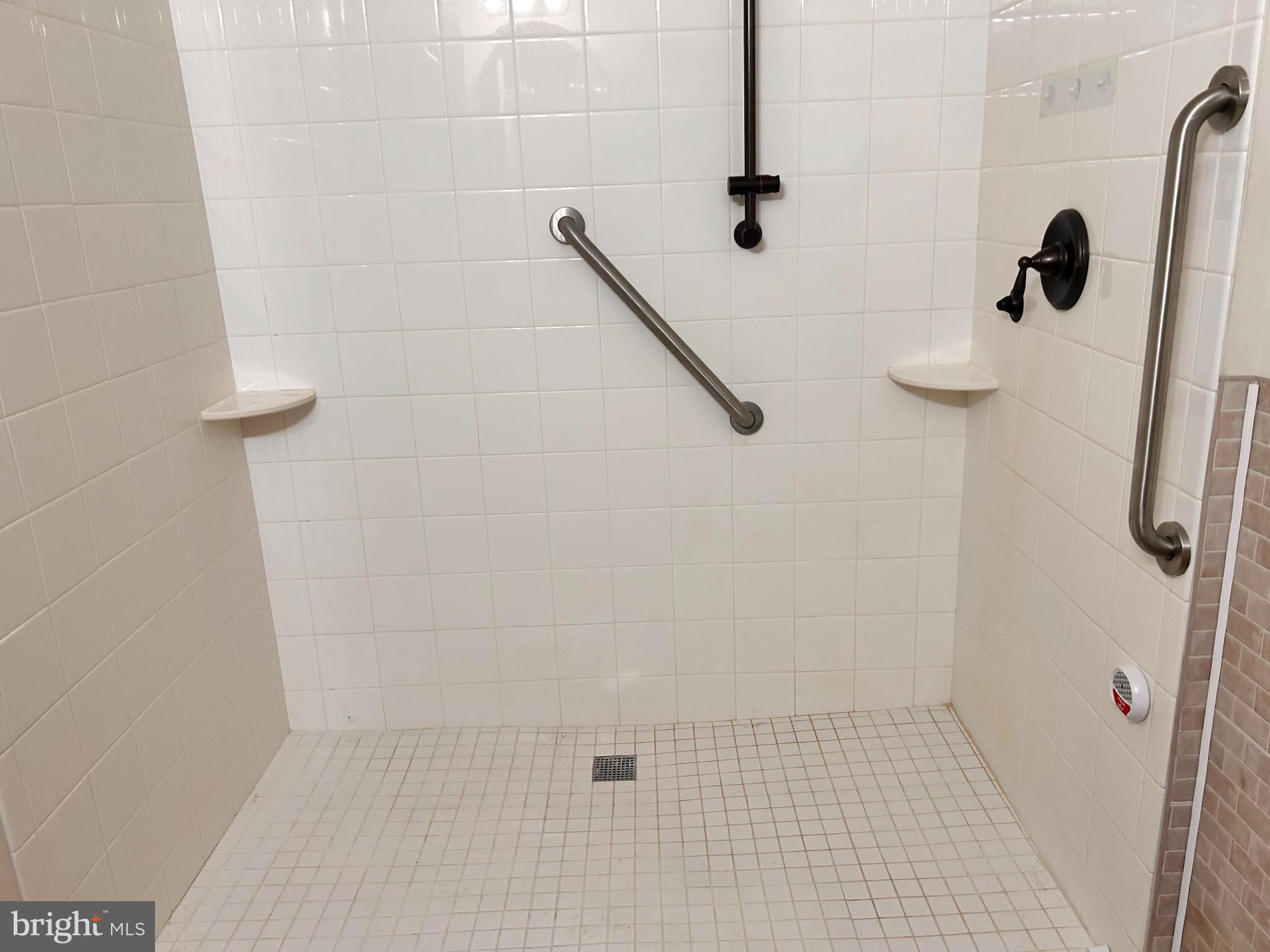 52 Harness Race Road Martinsburg, WV 25404 - Photo 10 of 16 a bathroom with a shower