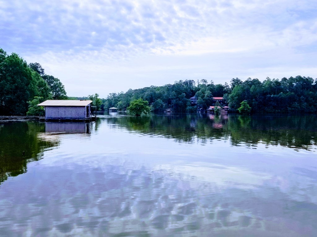 0 Sandy Landing Road Andalusia, AL 36421 - Photo 6 of 8