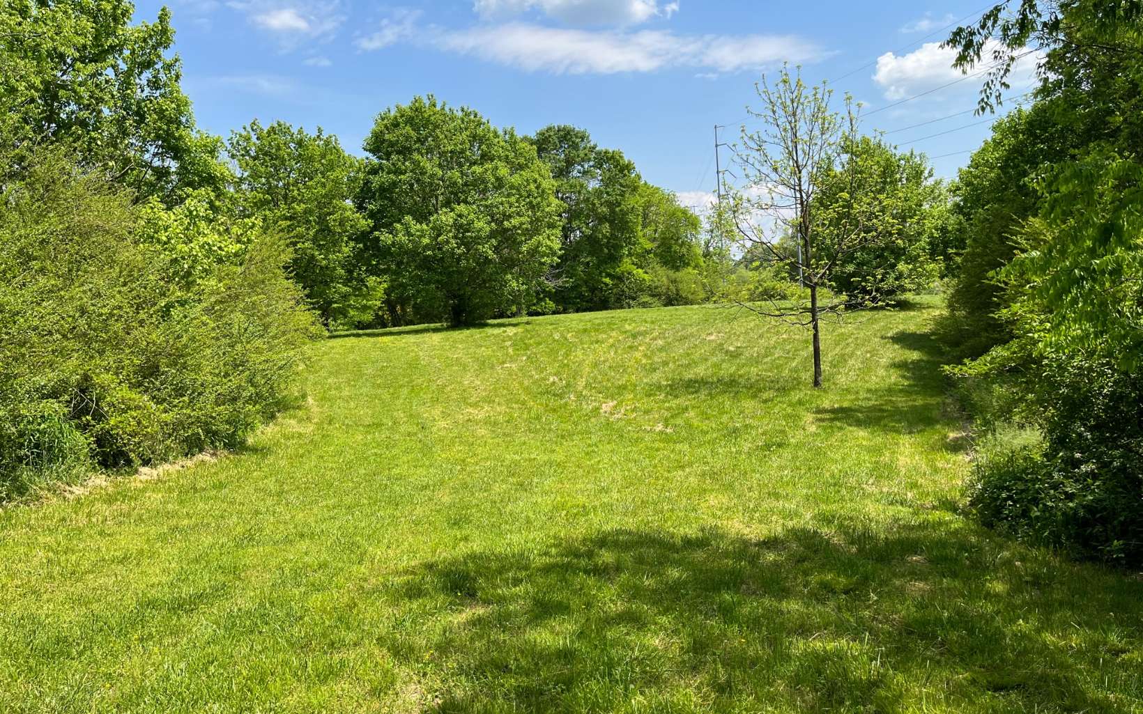 21-ac Tom Manis Road Northeast Dalton, GA 30721 - Photo 2 of 4 Additional View