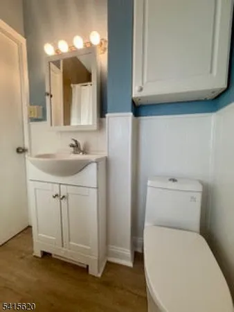a bathroom with a sink a toilet and vanity