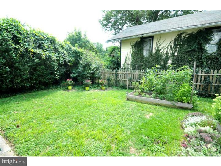 157 Bickley Road Glenside, PA 19038 - Photo 23 of 24 Back Yard