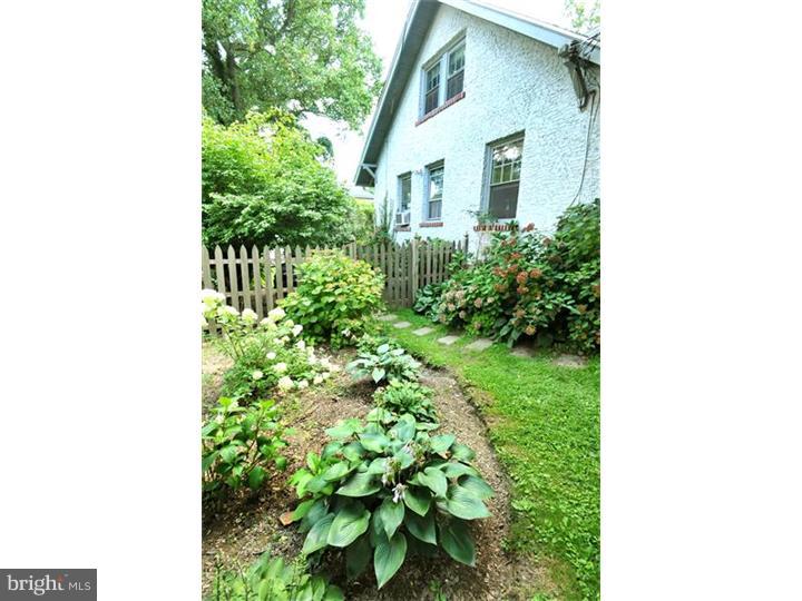 Side Yard
