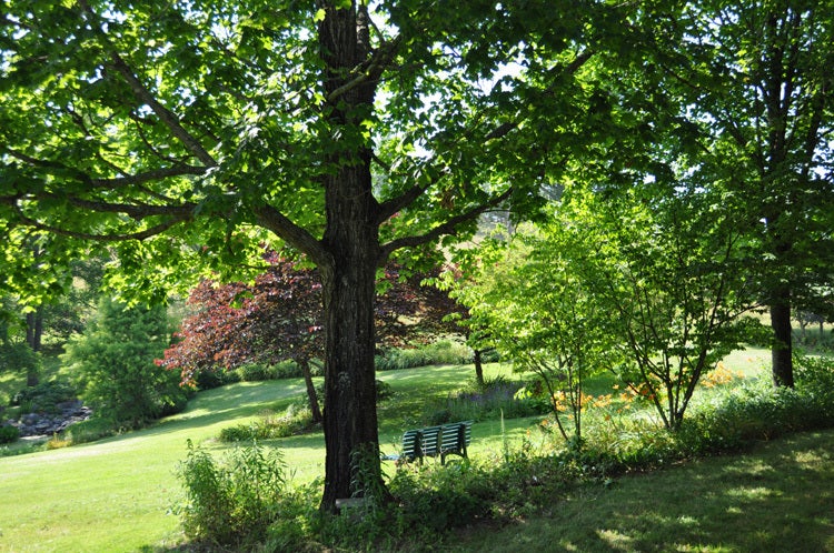 2096 Charles Boothe Road Sinks Grove, WV 24976 - Photo 13 of 52 Gallery Image 13