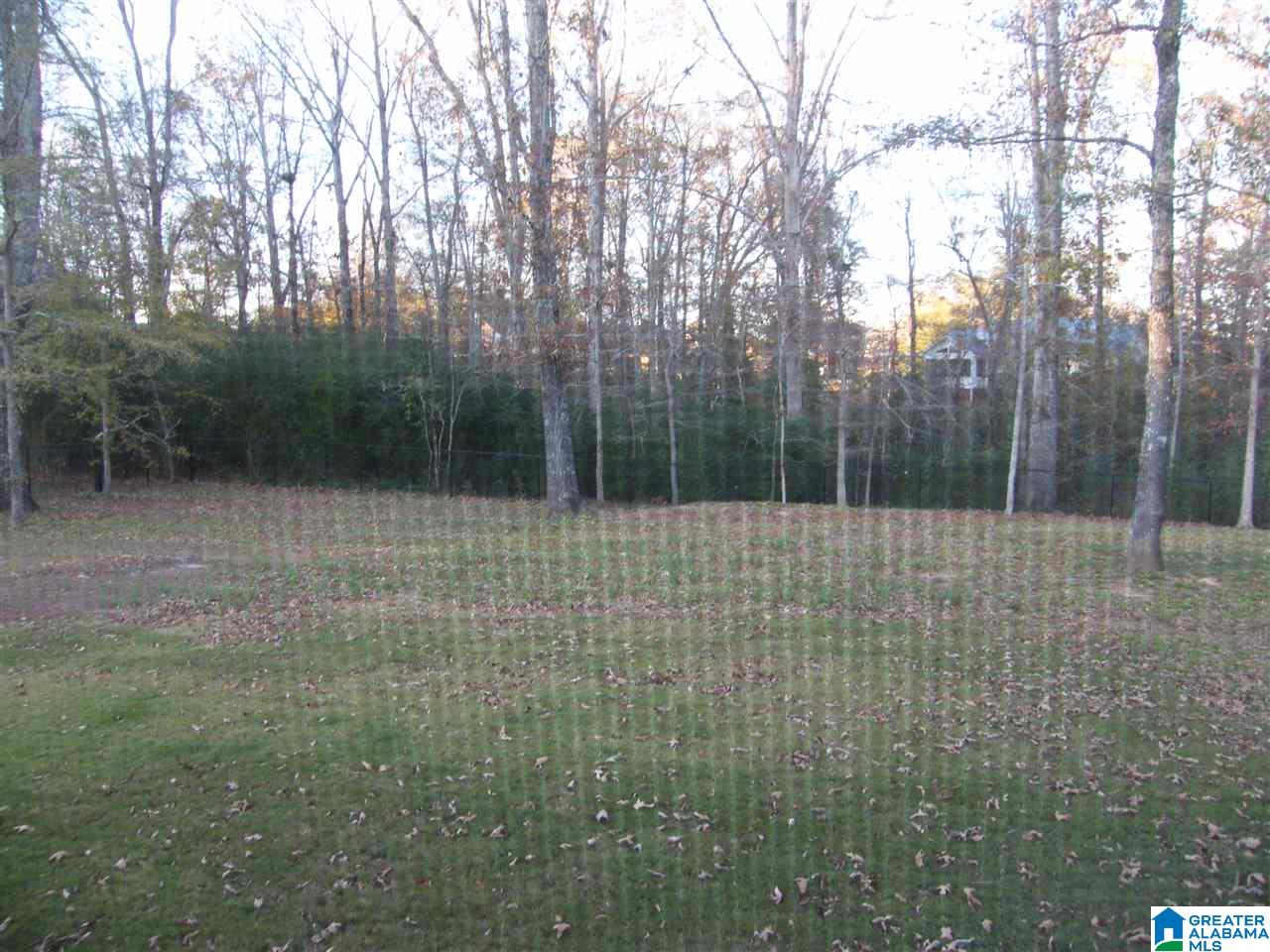 806 Jackson Trace Circle Morris, AL 35116 - Photo 33 of 37