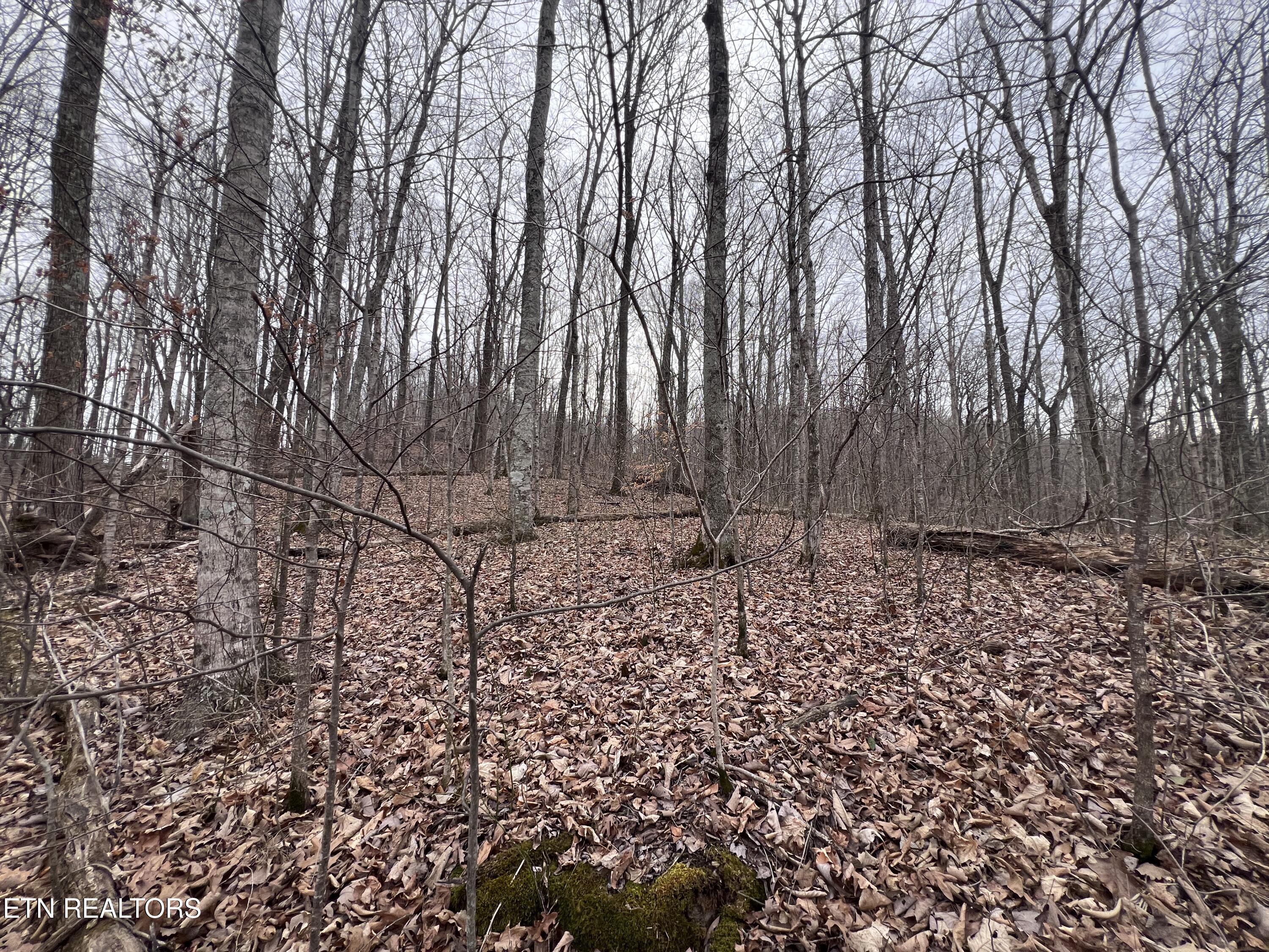 62 Apache Road Jamestown, TN 38556 - Photo 15 of 19 IMG_6745