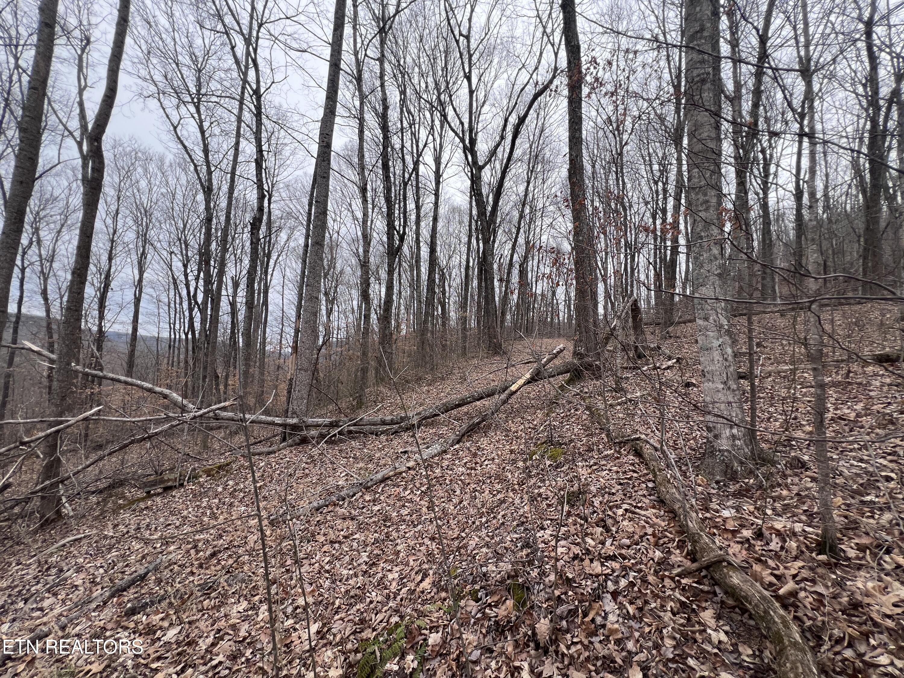 62 Apache Road Jamestown, TN 38556 - Photo 16 of 19 IMG_6746