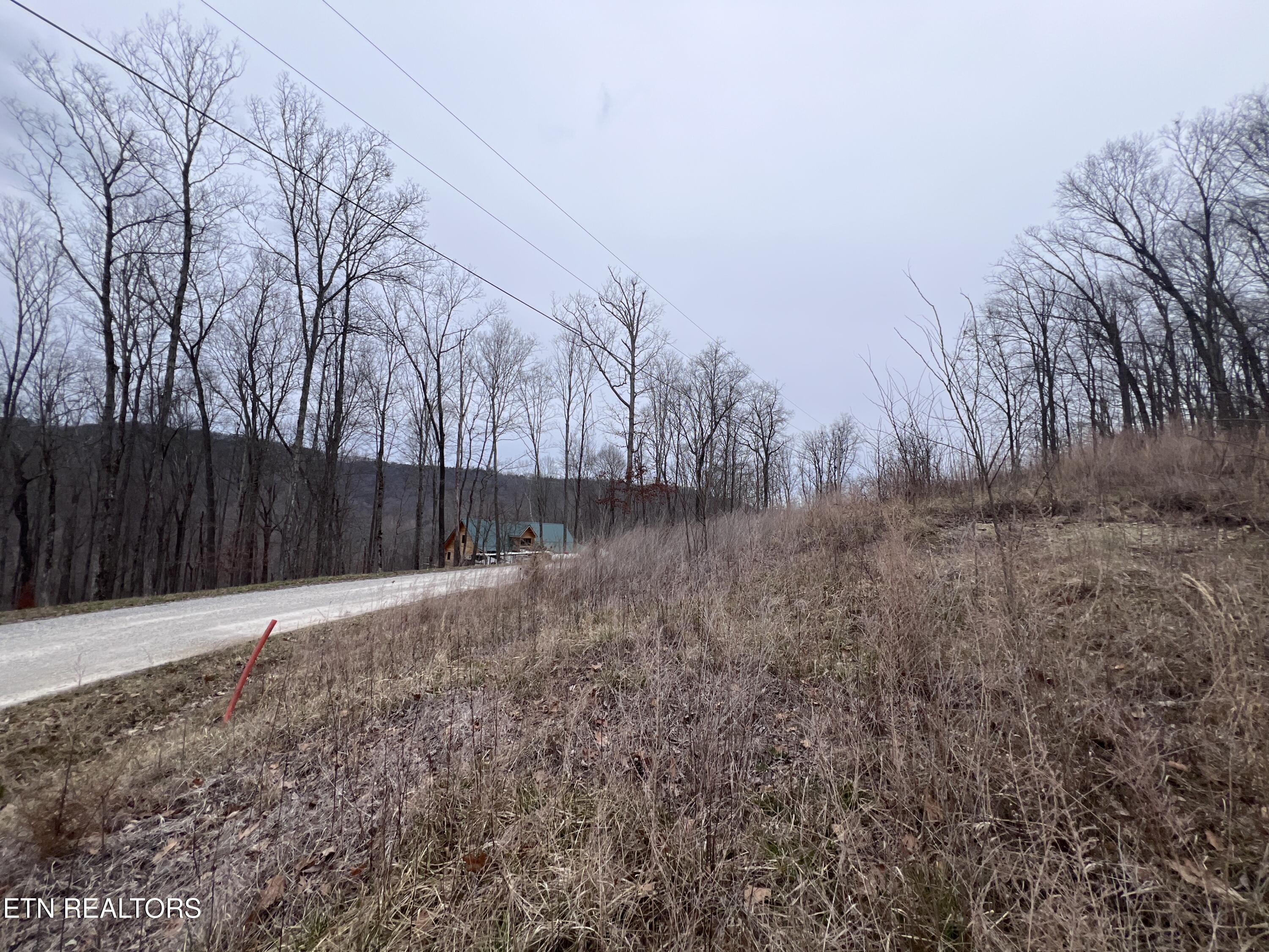 62 Apache Road Jamestown, TN 38556 - Photo 2 of 19 IMG_6732