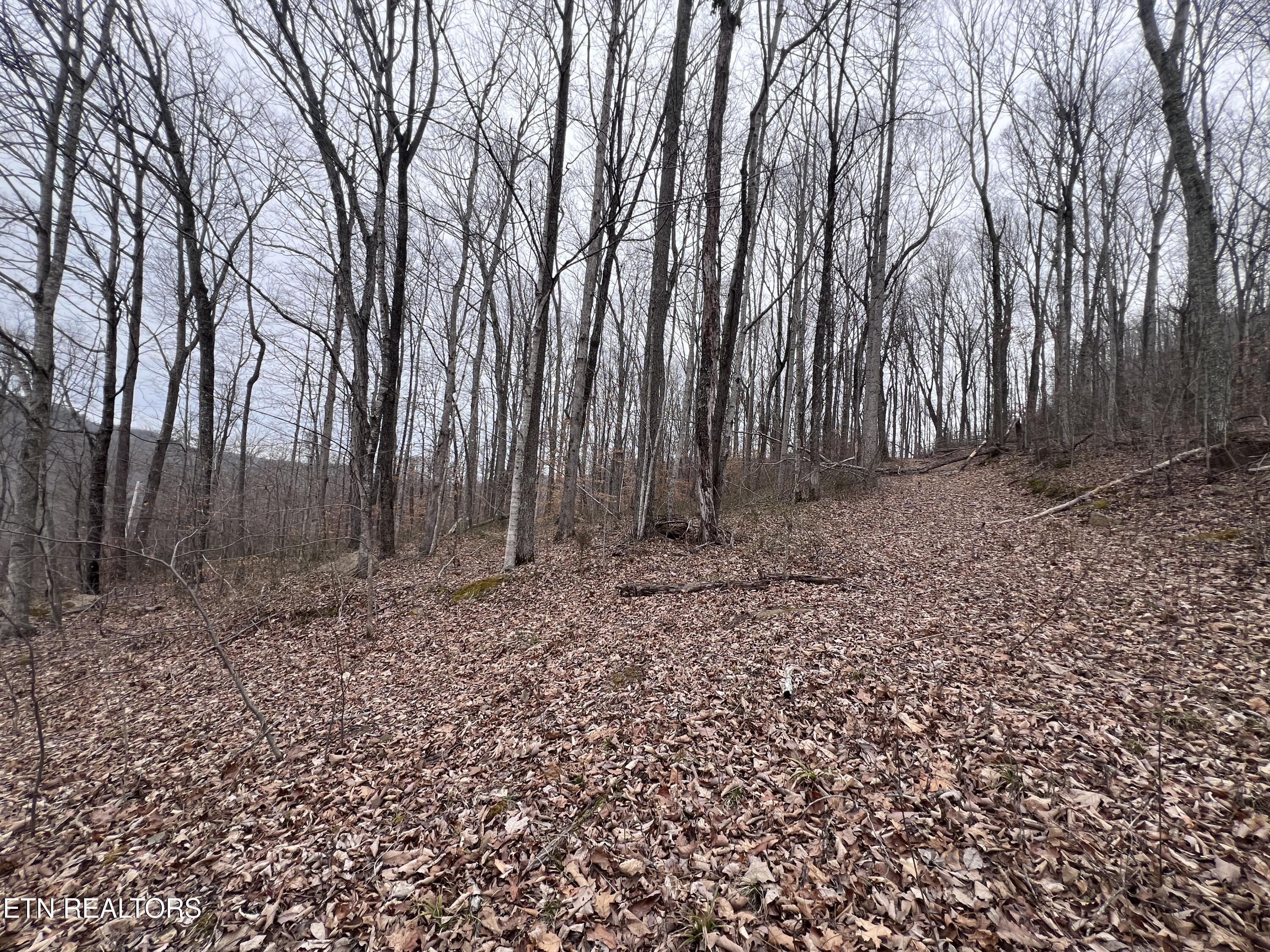 62 Apache Road Jamestown, TN 38556 - Photo 8 of 19 IMG_6738