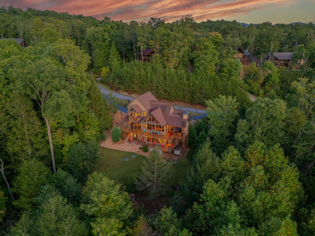 1144 Settler's Ridge Road Ellijay, GA 30540 - Photo 83 of 88 an aerial view of a house with mountain view