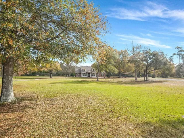 a view of an ocean and trees