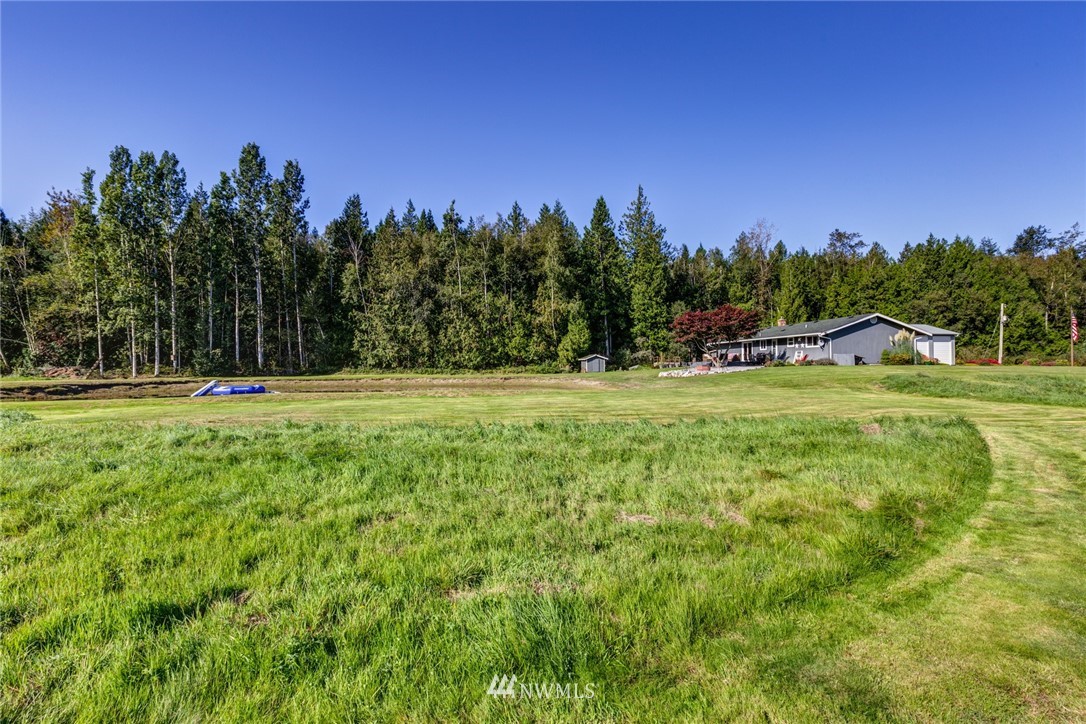 3141 Loomis Trail Road Custer, WA 98240 - Photo 14 of 25 a view of a field with trees in the background
