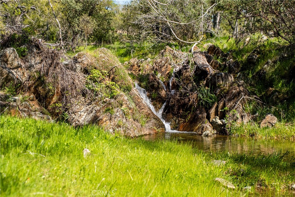 10777 Walker Trail Road Angels Camp, CA 95222 - Photo 1 of 1