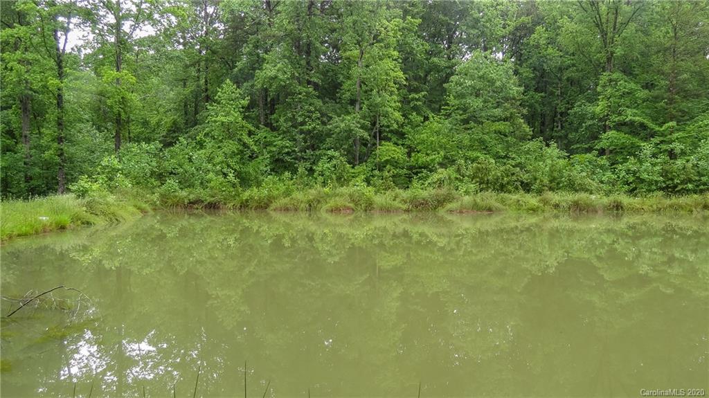 500 South Mountain Road Bostic, NC 28018 - Photo 11 of 48