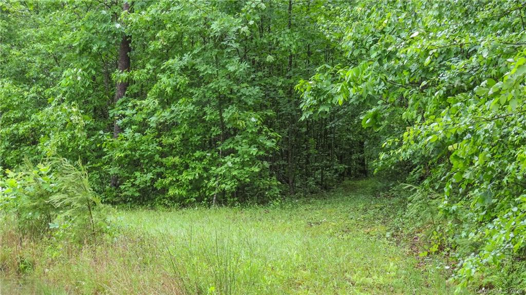 500 South Mountain Road Bostic, NC 28018 - Photo 12 of 48