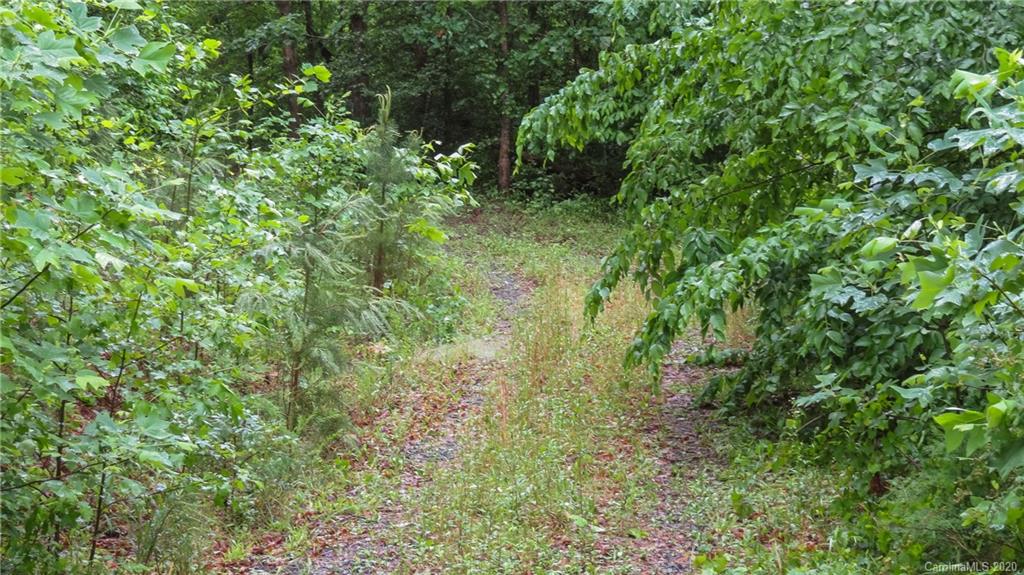 500 South Mountain Road Bostic, NC 28018 - Photo 13 of 48
