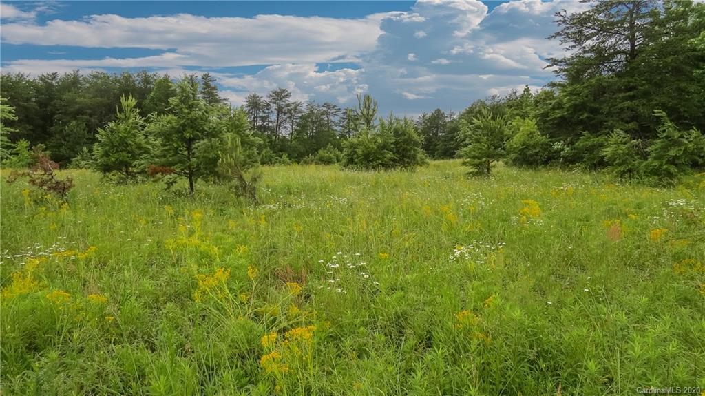 500 South Mountain Road Bostic, NC 28018 - Photo 14 of 48