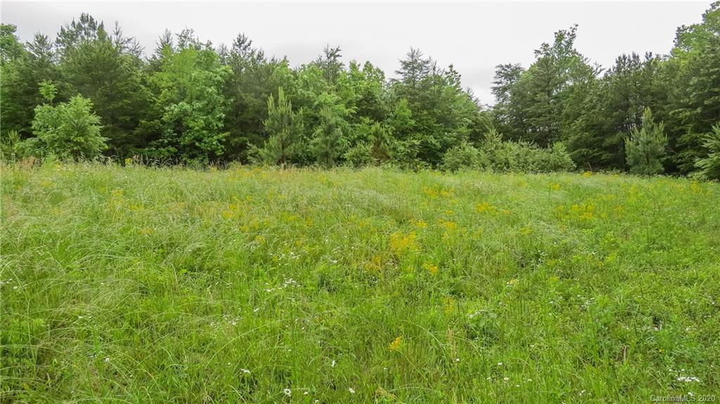 500 South Mountain Road Bostic, NC 28018 - Photo 15 of 48