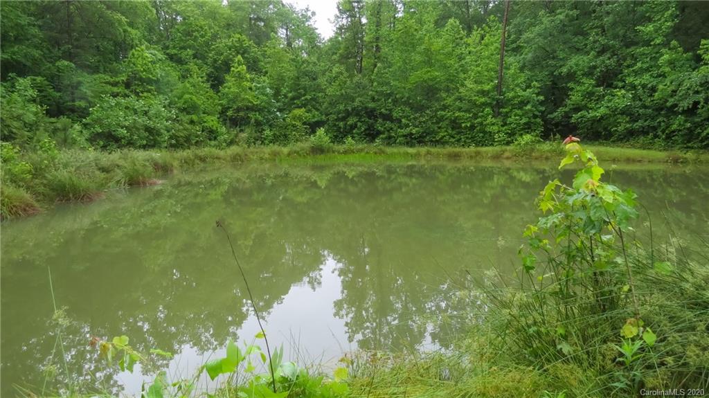500 South Mountain Road Bostic, NC 28018 - Photo 7 of 48