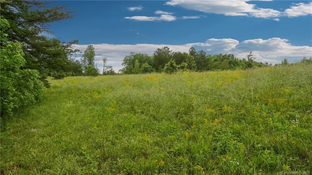 500 South Mountain Road Bostic, NC 28018 - Photo 8 of 48