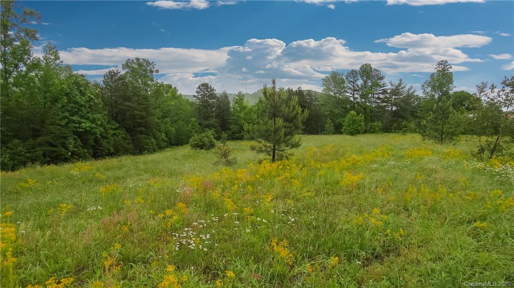 500 South Mountain Road Bostic, NC 28018 - Photo 9 of 48