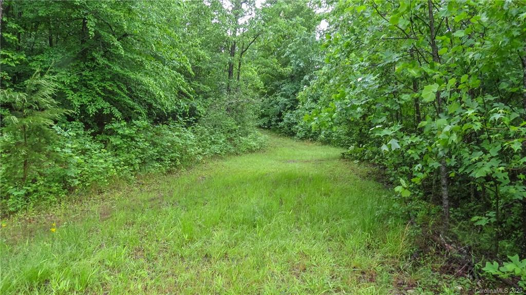 500 South Mountain Road Bostic, NC 28018 - Photo 10 of 48