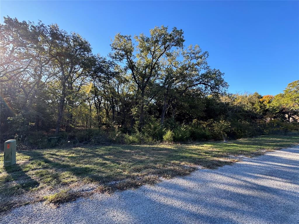 20 Timber Trail Tioga, TX 76271 - Photo 2 of 8