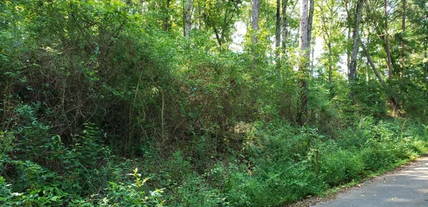 $17,000 | 0 Treeline Drive, Unit 4, Dunlap, TN 37327