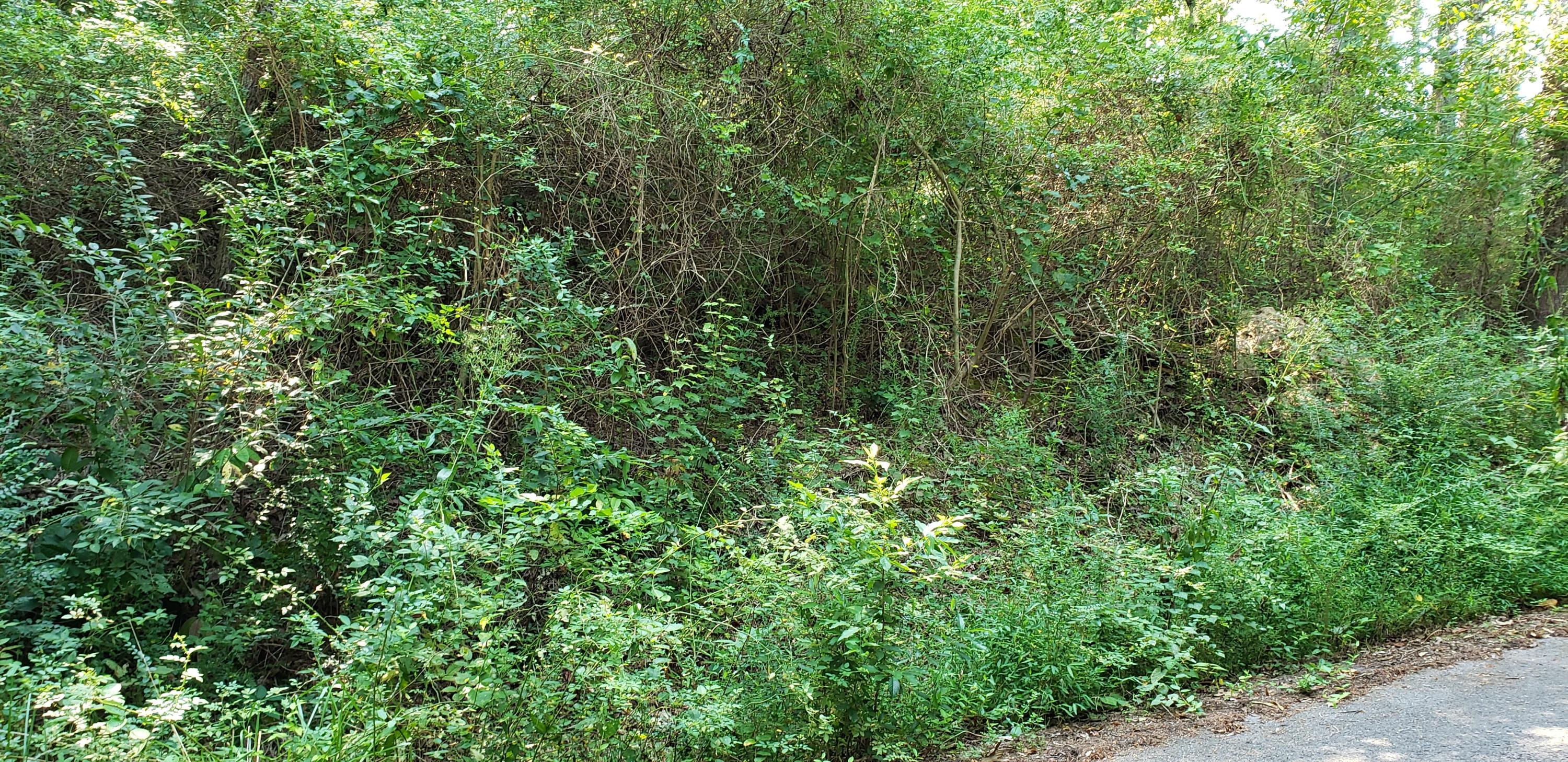 0 Treeline Drive, Unit 4 Dunlap, TN 37327 - Photo 9 of 10 20190820_100455