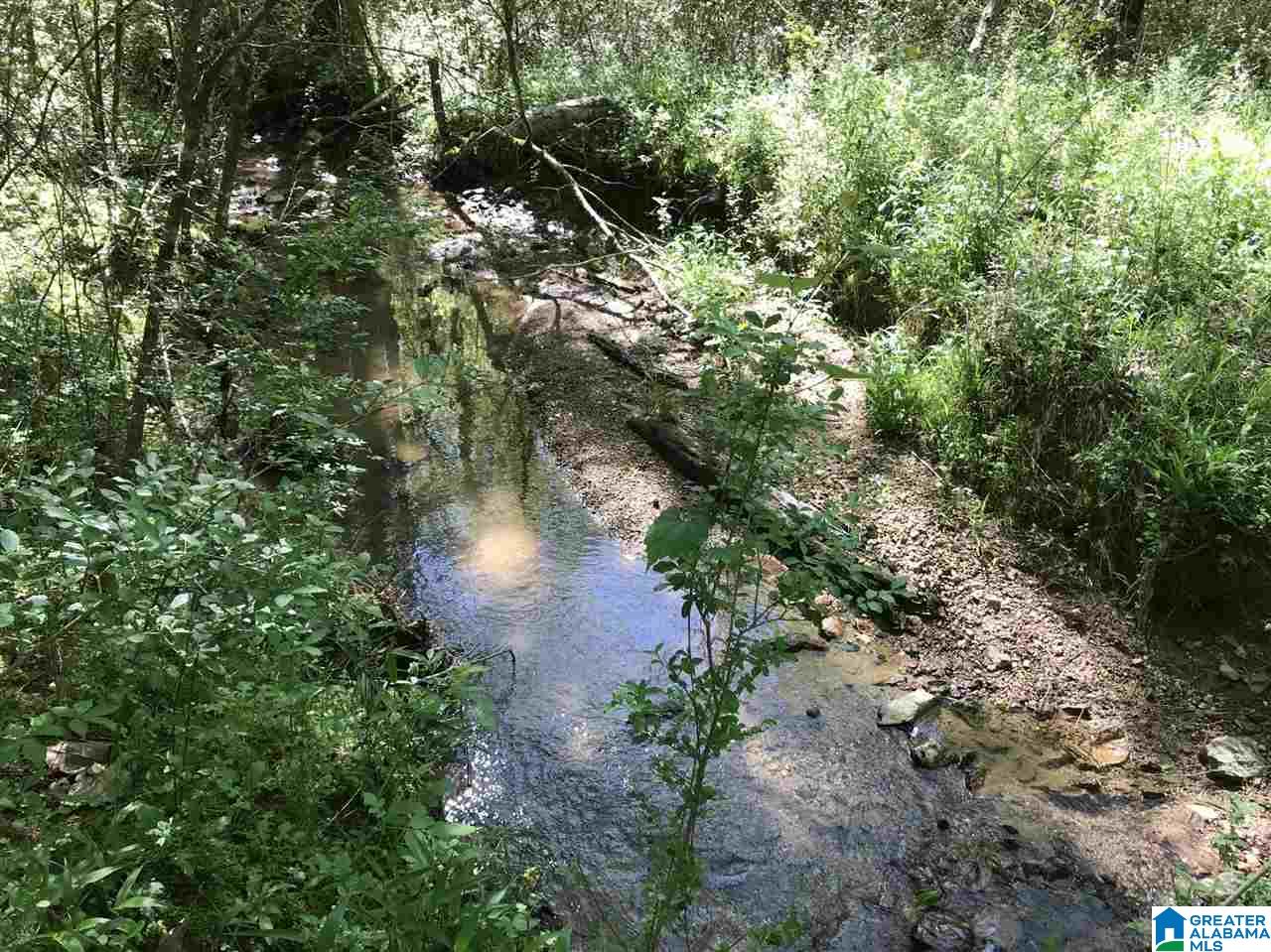 0 Acton Road, Unit 45 ACRE Moody, AL 35004 - Photo 9 of 12