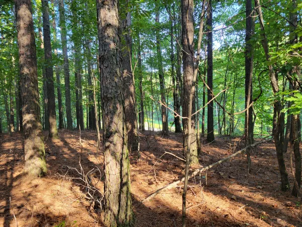 $67,000 | 107 Thunder Ridge Drive, Unit LOT 107, South Pittsburg, TN 37380