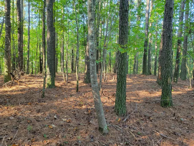 $67,000 | 107 Thunder Ridge Drive, Unit LOT 107, South Pittsburg, TN 37380