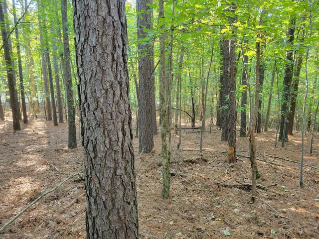 $67,000 | 107 Thunder Ridge Drive, Unit LOT 107, South Pittsburg, TN 37380