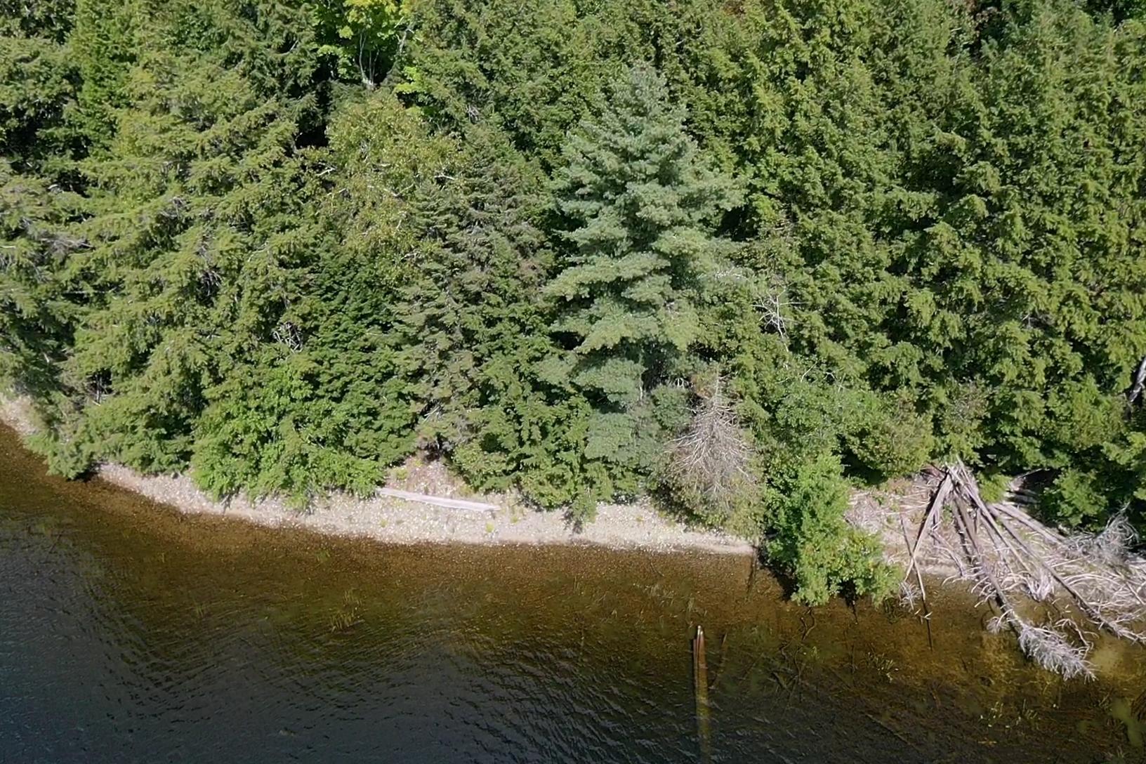 Lot 1 Barrows Lake Road Alexander, ME 04694 - Photo 3 of 15 screen_51e8103d02bb55c6_1629825847438